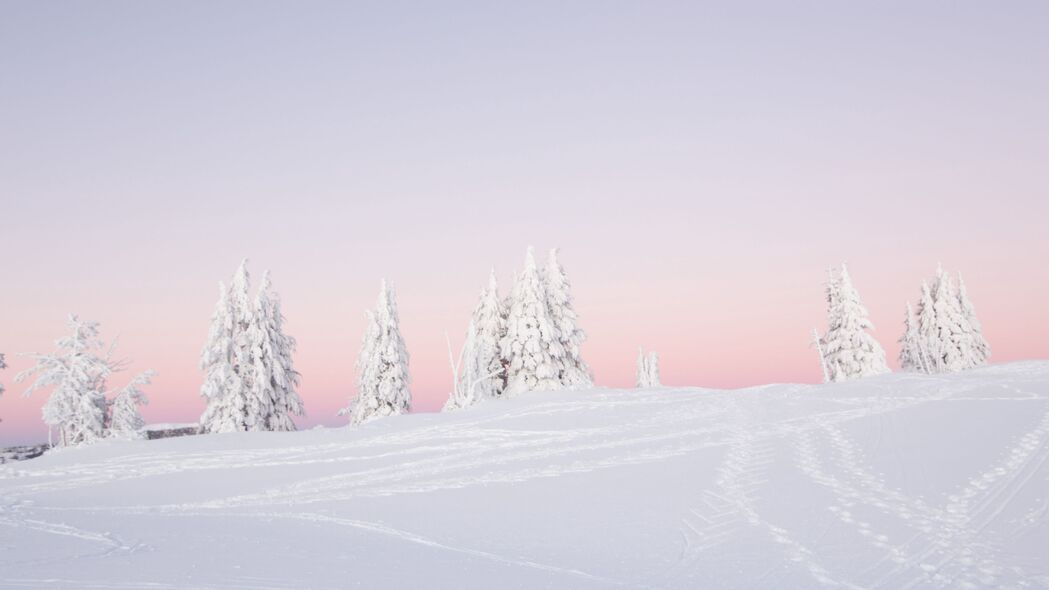 冬日雪景高清壁纸，树影婆娑，纯净白皑，4K超清3840x2160