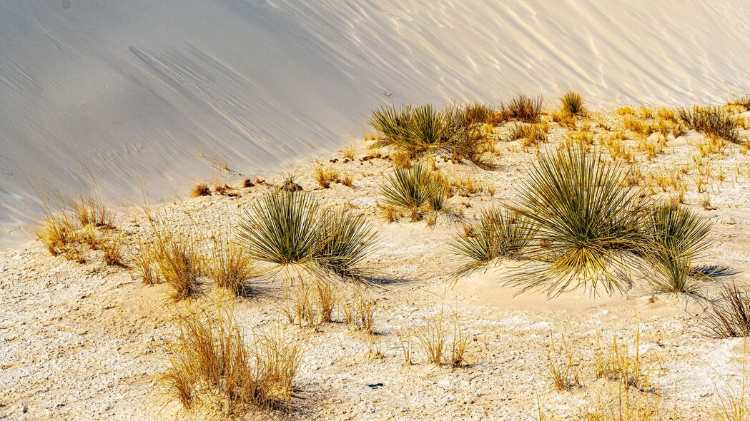 草 沙子 沙漠 沙丘 天空 4k壁纸 3840x2160