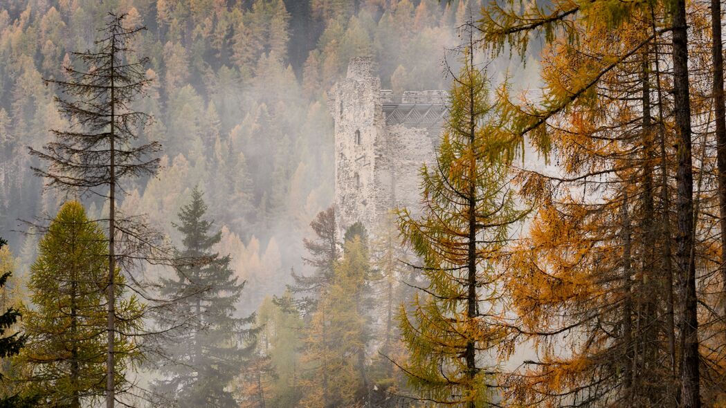 森林 城堡 雾 山丘 秋季 4k壁纸 3840x2160