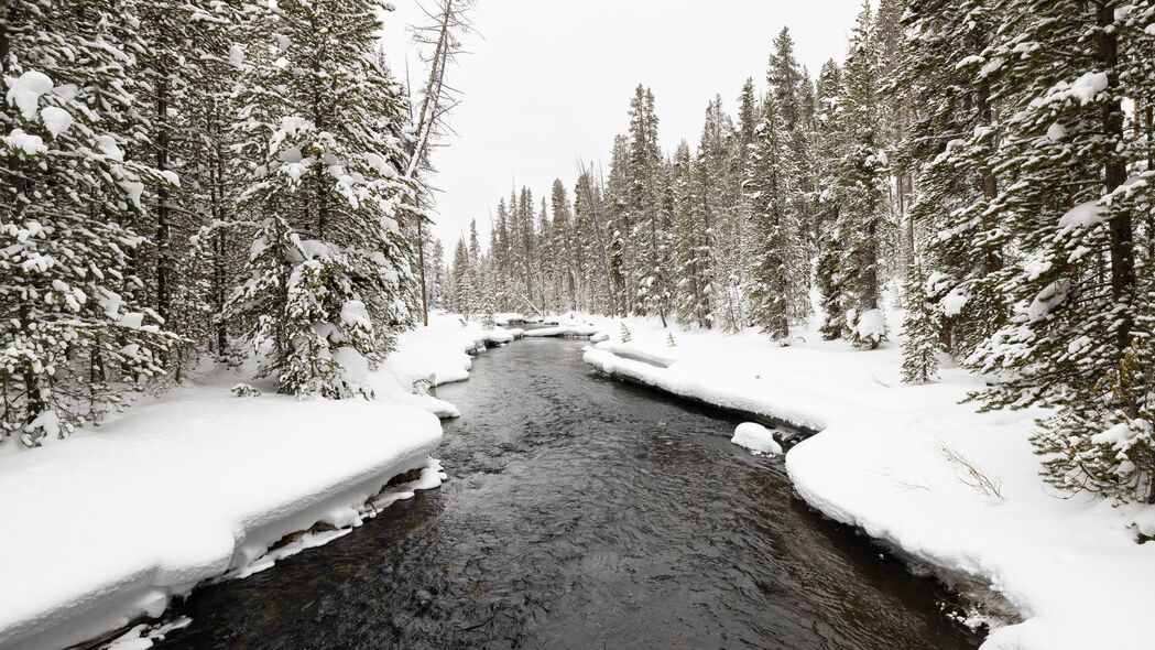 河流 树木 雪 景观 冬天 自然 4k壁纸 3840x2160