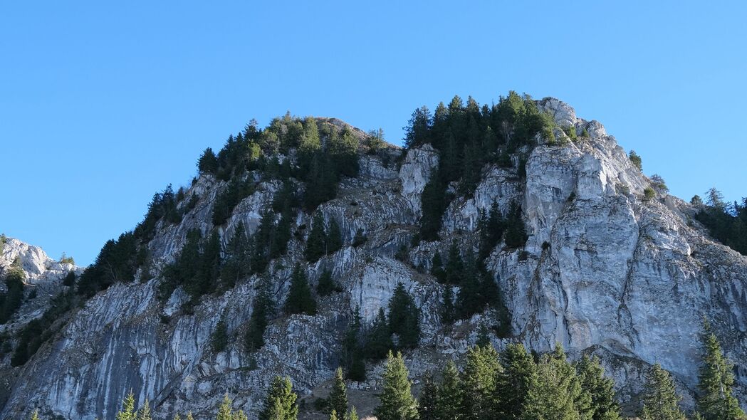 岩石 浮雕 树木 自然 斜坡 4k壁纸 3840x2160