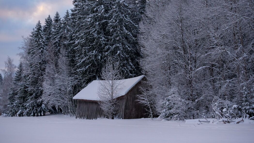 小屋 冬天 雪 森林 自然 4k壁纸 3840x2160