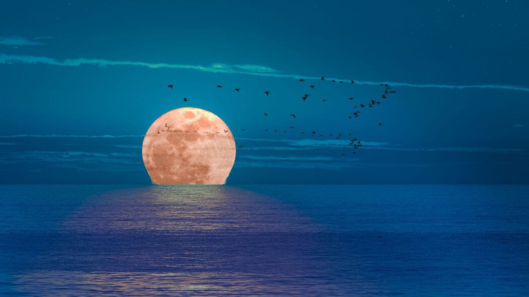 月亮 大海 夜晚 鸟类 4k壁纸 3840x2160