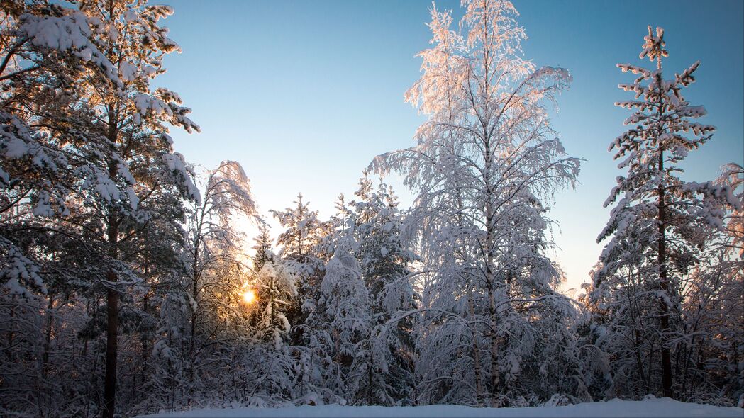 树木 森林 雪 冬天 风景 天空 4k壁纸 3840x2160