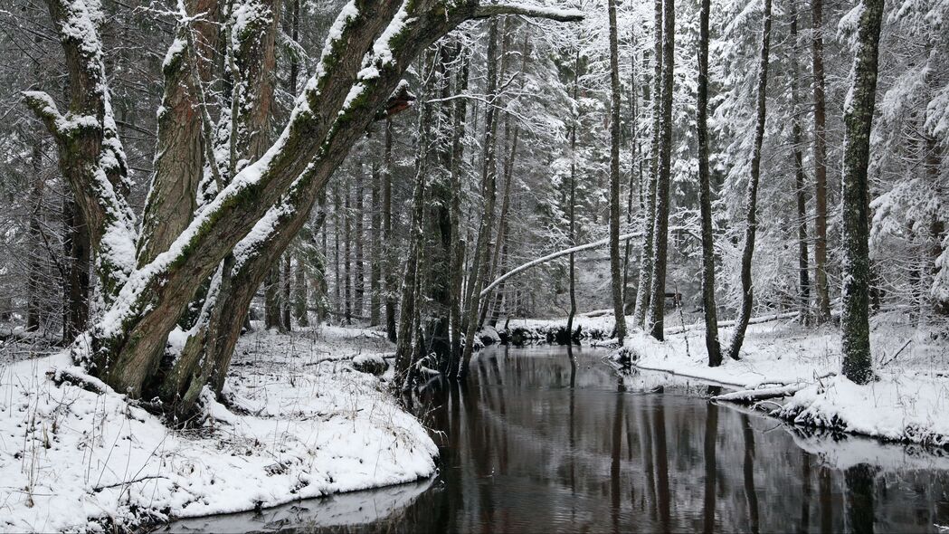 树木 河流 雪 冬天 森林 4k壁纸 3840x2160