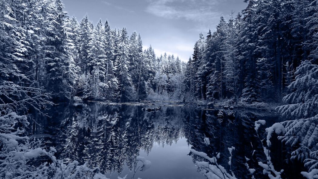 湖泊 森林 雪 冬天 风景 美丽的 4k壁纸 3840x2160