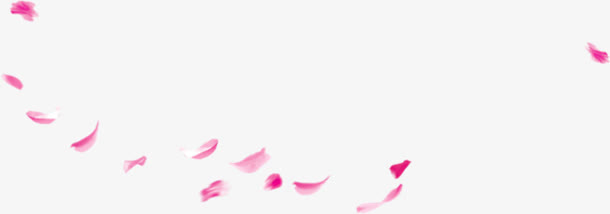 粉红花瓣飘落漂浮