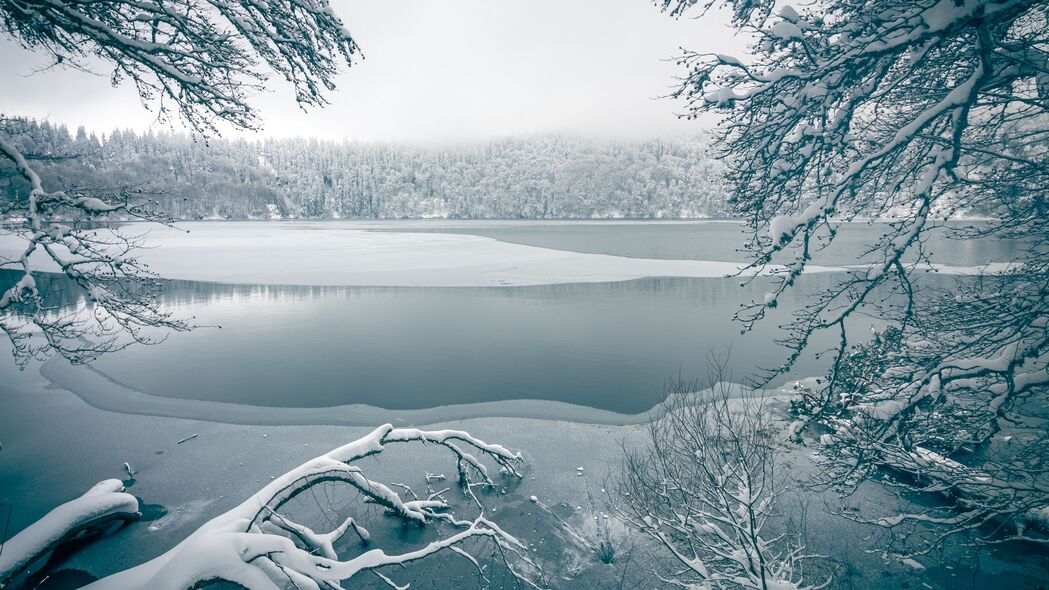 湖泊 树木 雪 冬天 自然 白色 4k壁纸 3840x2160
