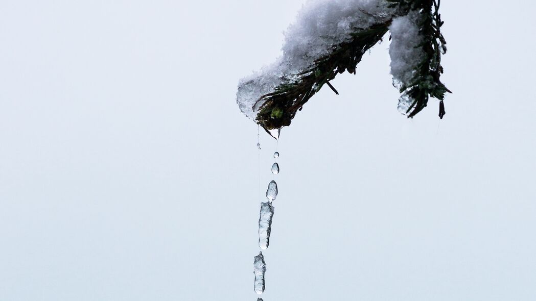 极简宏观冰雪分支冰柱，高清4K壁纸3840x2160，精美背景图片免费下载