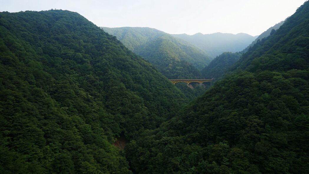 桥梁 森林 山脉 自然 4k壁纸 3840x2160