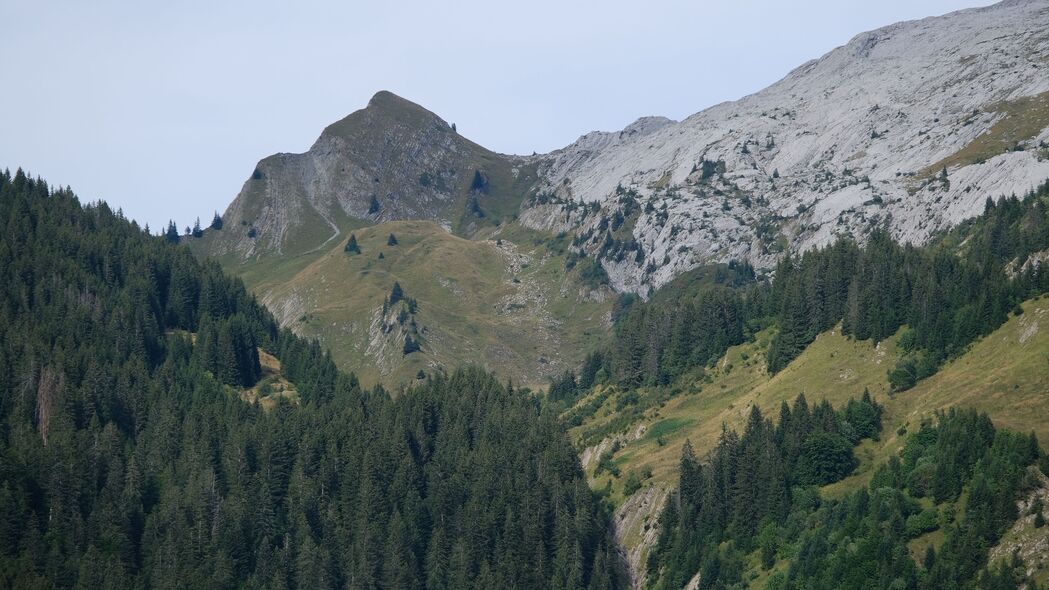 4K超高清森林树木浮雕山景壁纸，3840x2160精美下载