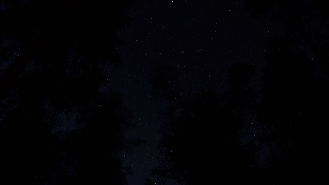树木 夜晚 天空 星空 深色 4k壁纸 3840x2160