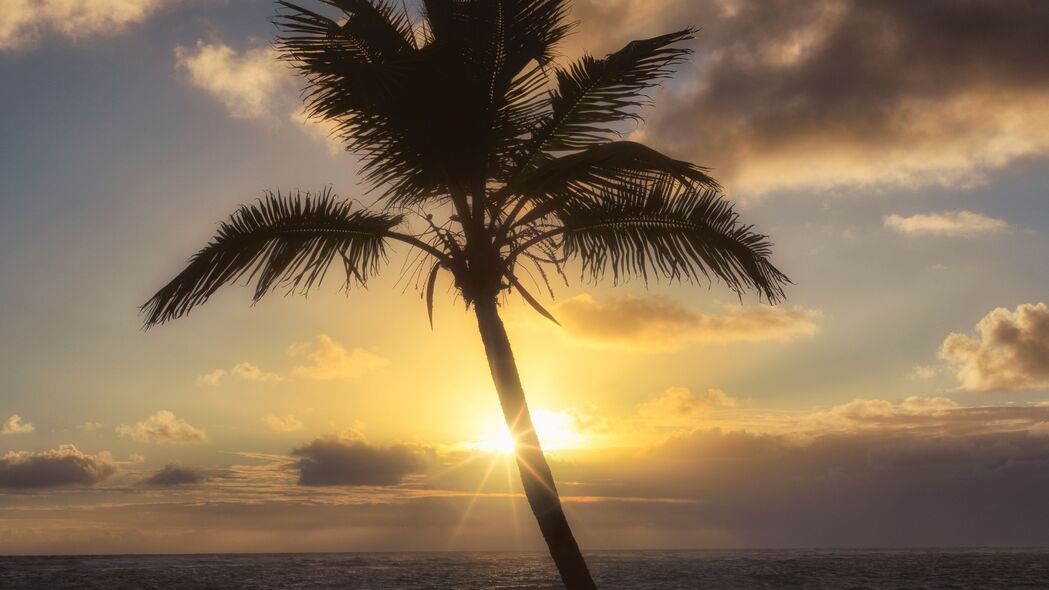 棕榈树 海滩 热带 日落 4k壁纸 3840x2160