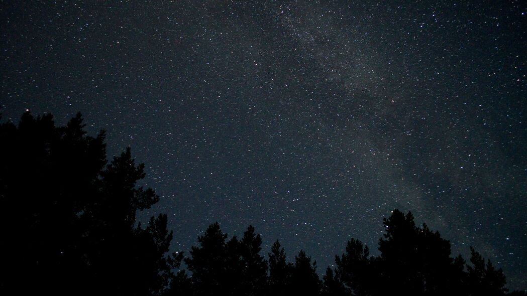 夜晚星空剪影，树枝轮廓4K壁纸，超清3840x2160背景图片，免费下载