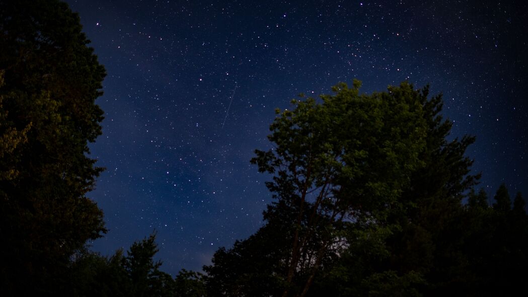 星空之树，深邃黑夜中璀璨星光，超清4K壁纸3840x2160免费下载