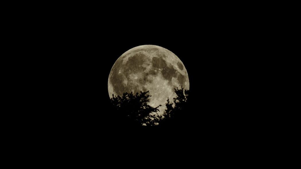月亮 满月 树枝 深色 4k壁纸 3840x2160