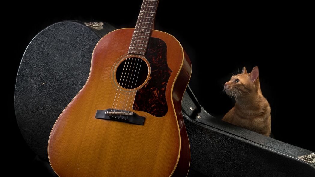 吉他 猫 音乐 乐器 深色 4k壁纸 3840x2160