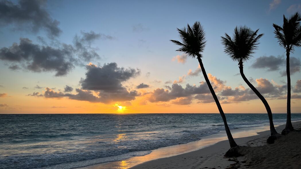 海滩 海洋 棕榈树 热带 日落 4k壁纸 3840x2160