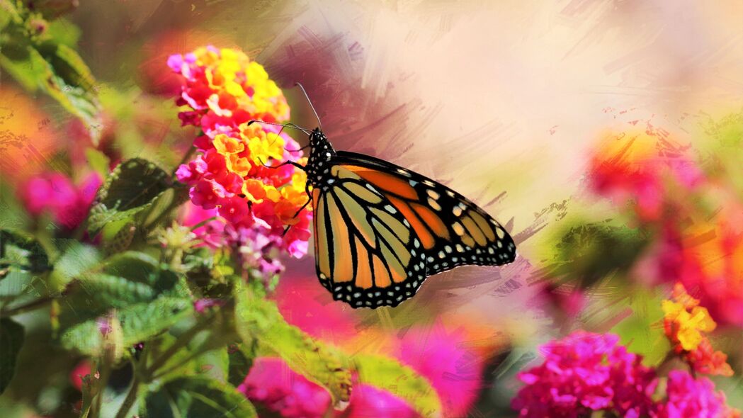 君主 蝴蝶 花朵 微距 明亮的 4k壁纸 3840x2160