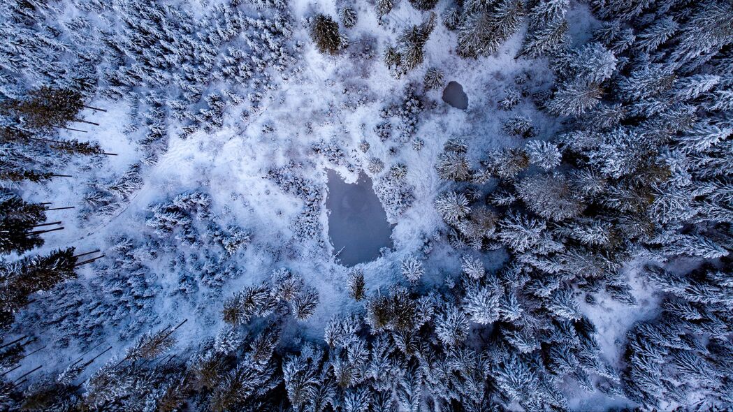 池塘雪景鸟瞰图，高清4K树影壁纸，3840x2160超清下载