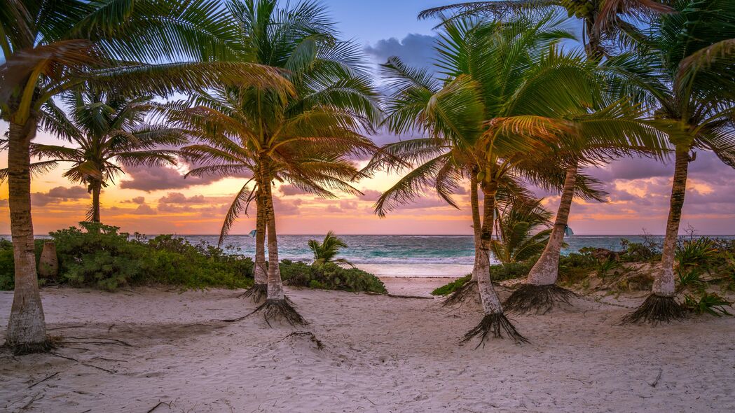 棕榈树 沙子 海滩 海洋 热带 4k壁纸 3840x2160