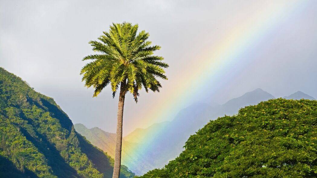 棕榈树 山脉 彩虹 风景 4k壁纸 3840x2160