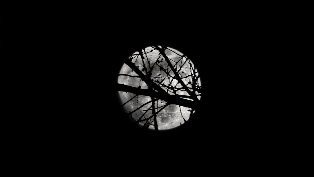 月亮 夜晚 树枝 剪影 黑色 4k壁纸 3840x2160
