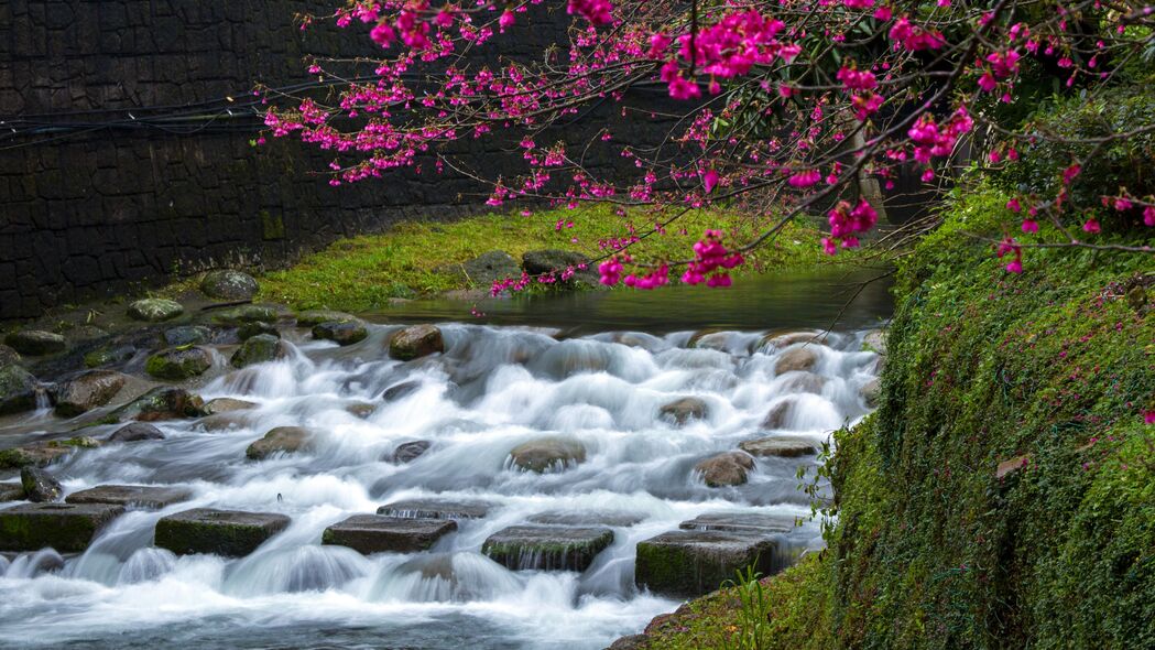 樱花 花朵 树枝 瀑布 石头 自然 4k壁纸 3840x2160