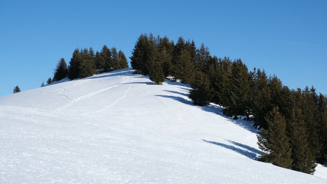 斜坡 雪 树木 痕迹 自然 4k壁纸 3840x2160