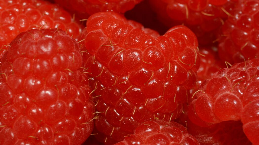 树莓 浆果 宏观 红色 成熟 4k壁纸 3840x2160