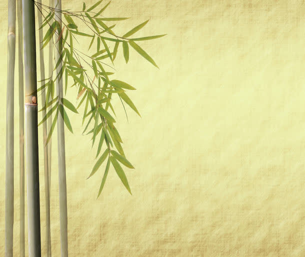 竹背景素材