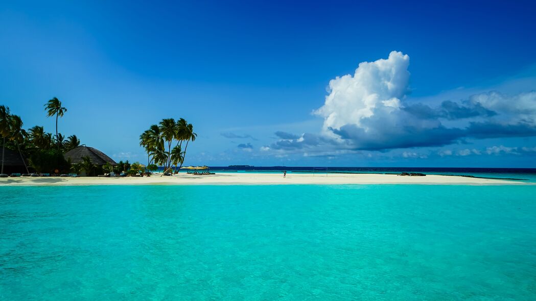 海滩 棕榈树 岛屿 热带 自然 4k壁纸 3840x2160