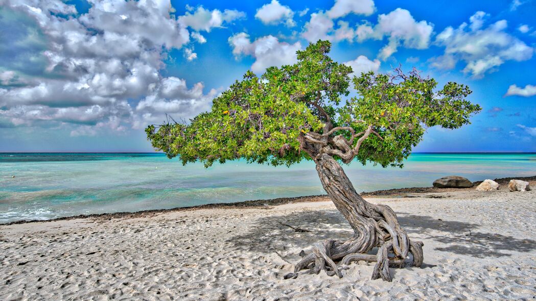 树 海 海滩 沙子 自然 4k壁纸 3840x2160