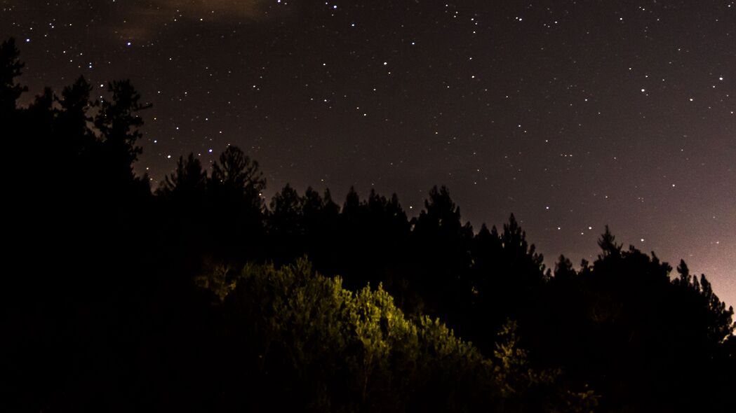 树木 森林 剪影 星星 夜晚 自然 4k壁纸 3840x2160