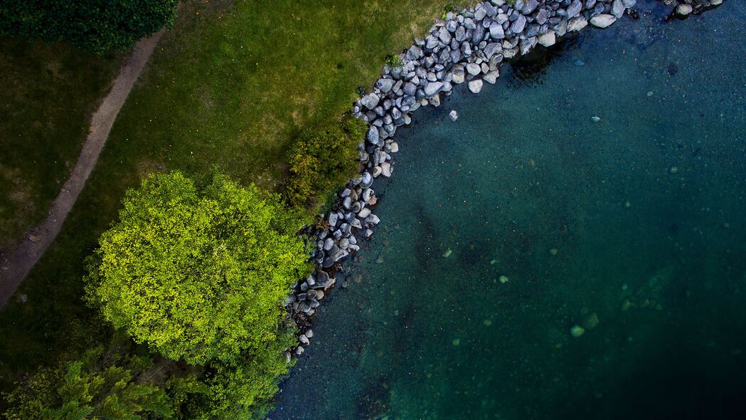 树 海岸 河流 石头 鸟瞰图 自然 4k壁纸 3840x2160