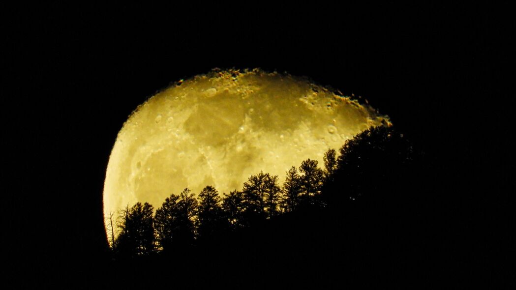 月亮 行星 树木 剪影 夜晚 深色 4k壁纸 3840x2160