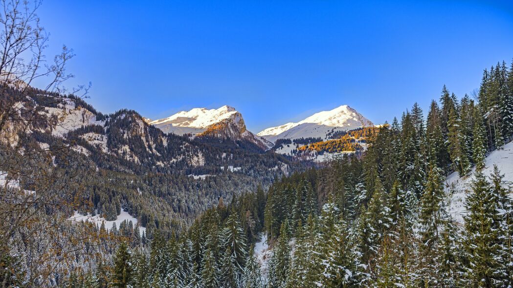 山脉 雪 树木 冬天 风景 自然 4k壁纸 3840x2160