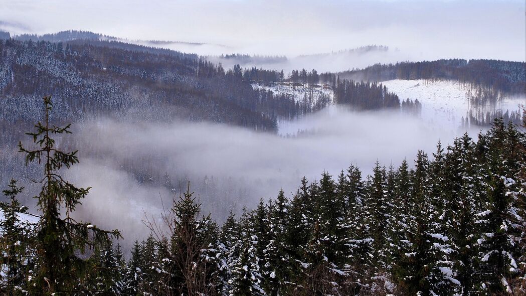 森林 树木 雪 云 自然 风景 4k壁纸 3840x2160