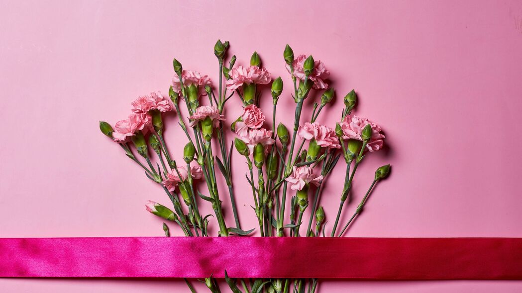 康乃馨 鲜花 花束 粉红色 缎带 4k壁纸 3840x2160
