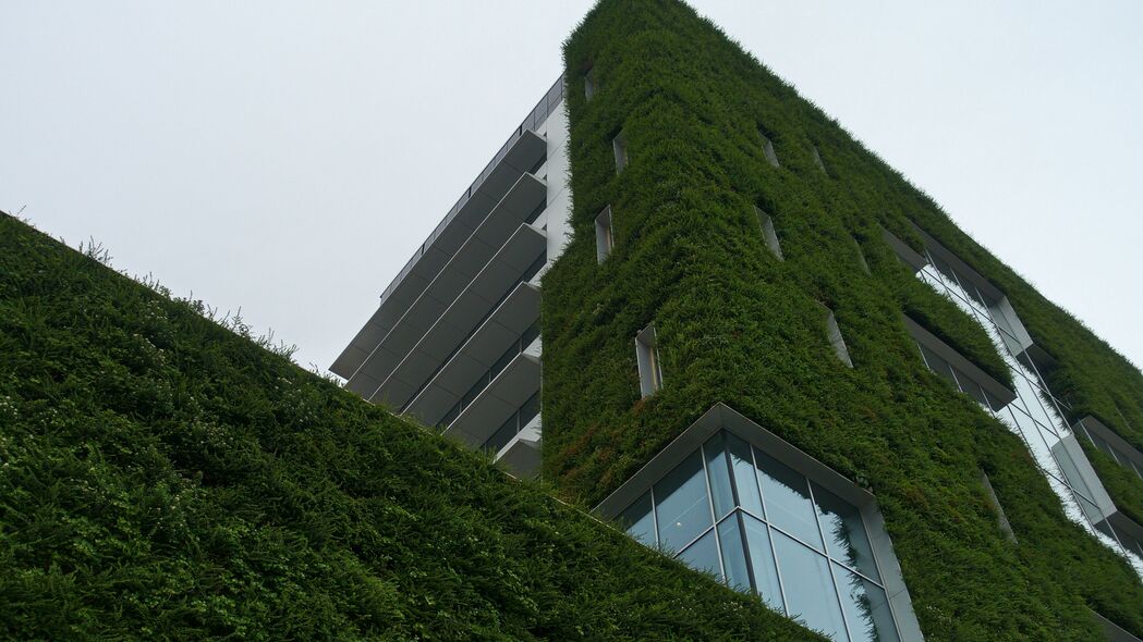 建筑 建筑 常春藤 绿色 4k壁纸 3840x2160