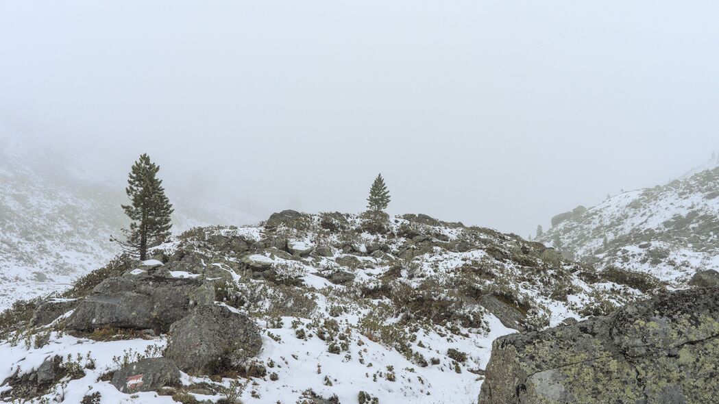 树 丘陵 雪 雾 自然 风景 4k壁纸 3840x2160