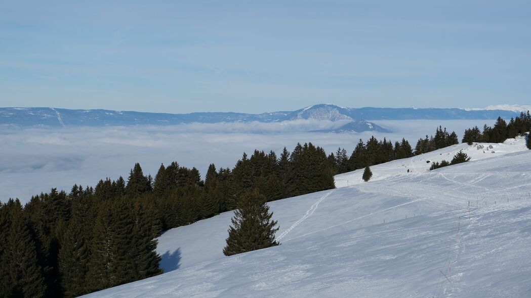 山脉 斜坡 雪 树木 冬天 风景 4k壁纸 3840x2160