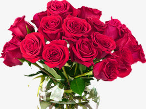 鲜艳红色玫瑰花束