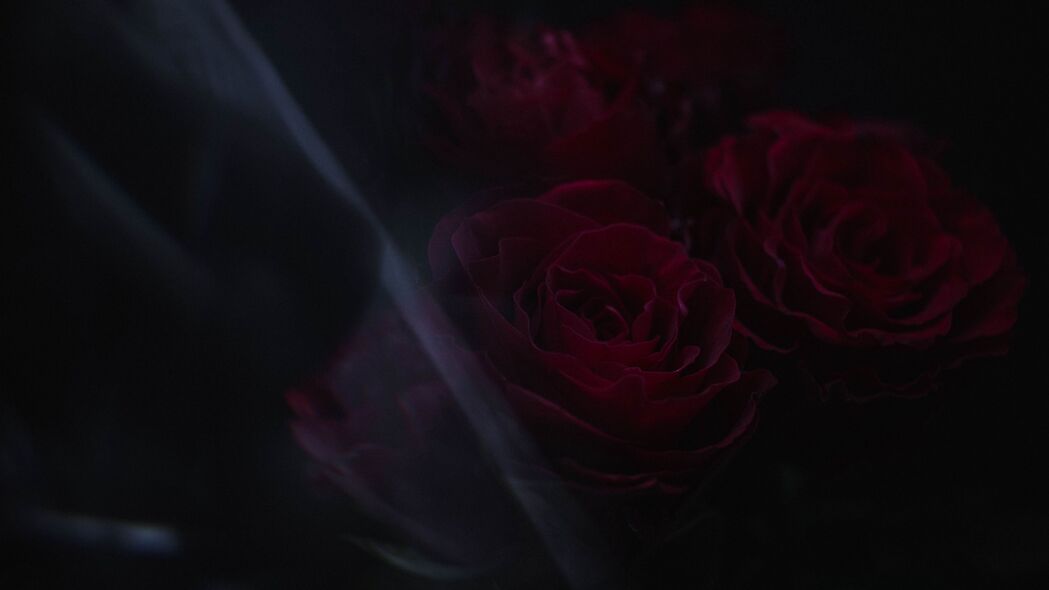 玫瑰花瓣深色4K壁纸，3840x2160超清背景图，高清下载