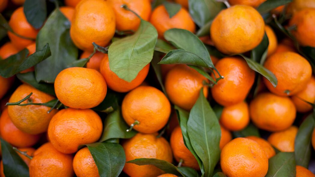 橘子 水果 叶子 柑橘 橙色 宏观 4k壁纸 3840x2160