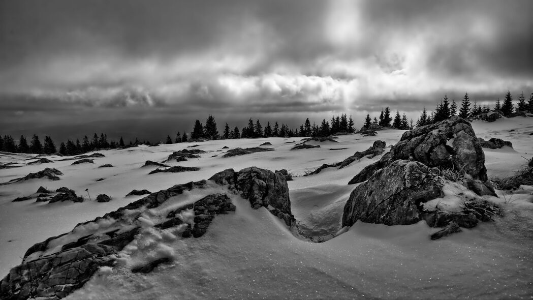 岩石 树木 雪 冬天 风景 黑白 4k壁纸 3840x2160
