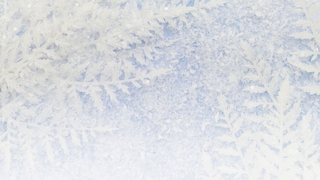 霜 图案 雪 冬天 宏观 4k壁纸 3840x2160