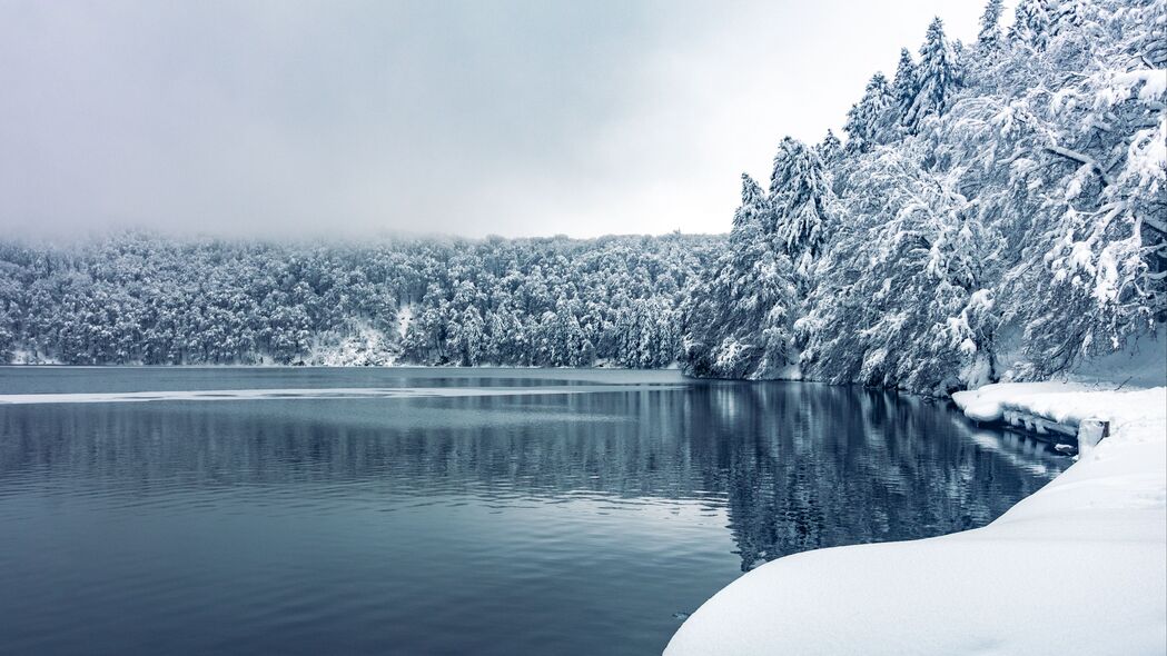 森林 树木 湖泊 雪 冬天 自然 4k壁纸 3840x2160