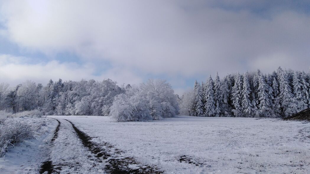 场 树 路径 雪 冬季 4k壁纸 3840x2160