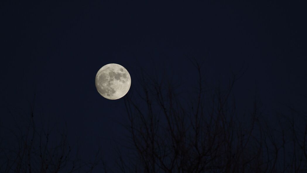 月亮 满月 树枝 夜晚 深色 4k壁纸 3840x2160